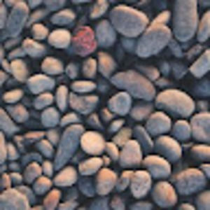 Meet your Posher, Shimei